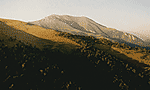 Гора Пастухова