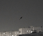 neat v1 комета над городом снятая камерой 11.02.03